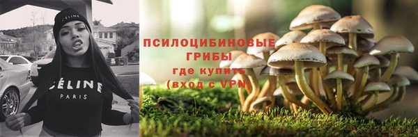 ПСИЛОЦИБИНОВЫЕ ГРИБЫ Переславль-Залесский