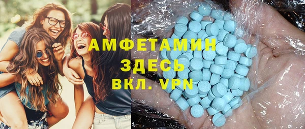 винт Галич