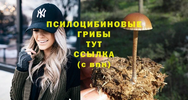 хмурый Гвардейск