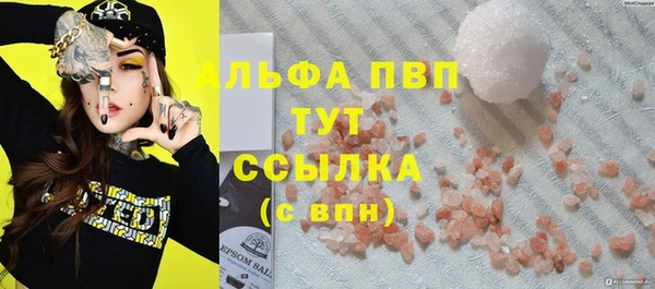 винт Галич