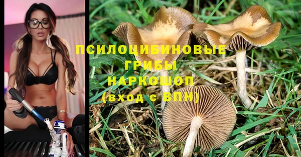 ПСИЛОЦИБИНОВЫЕ ГРИБЫ Переславль-Залесский