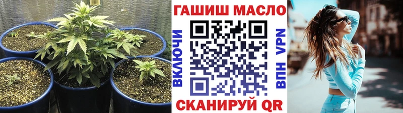 где найти наркотики  Белореченск  Дистиллят ТГК гашишное масло 