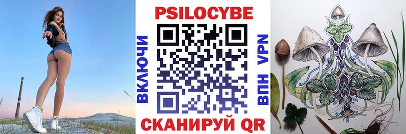 Галлюциногенные грибы Cubensis  Белореченск 