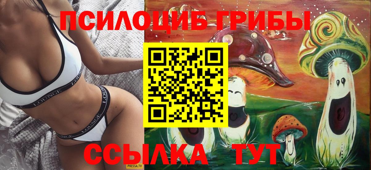 Псилоцибиновые грибы GOLDEN TEACHER  Вход с VPN  Белореченск 