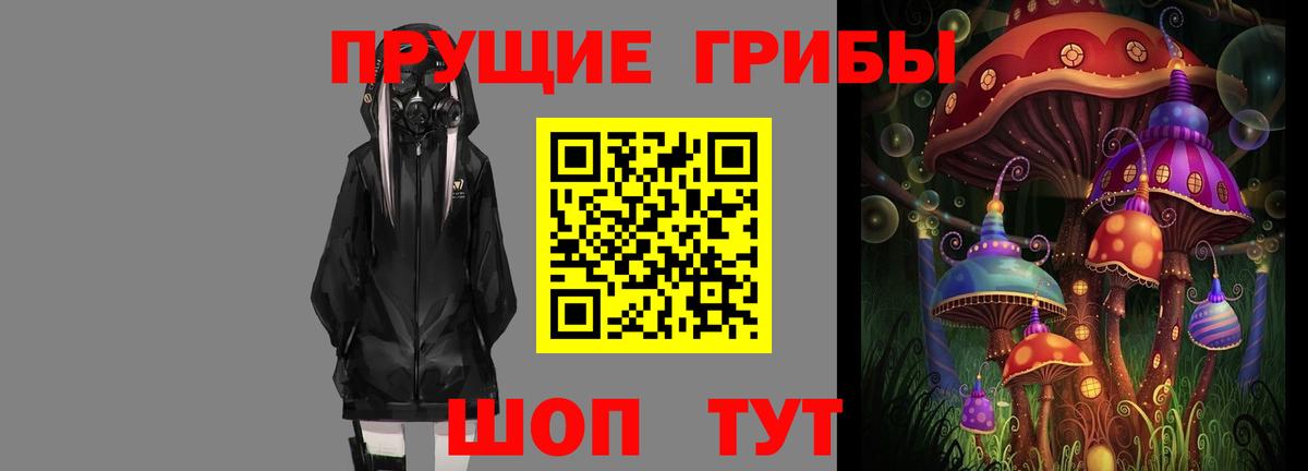 Галлюциногенные грибы Psilocybe Белореченск